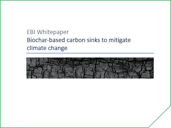 Biochar-based carbon sinks to mitigate climate change - EBI Whitepaper