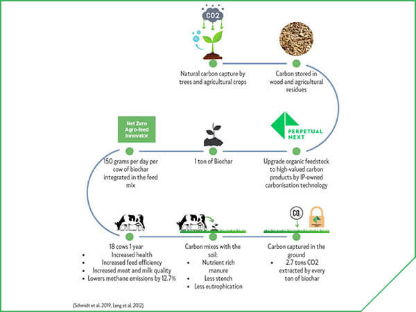 Perpetual Next - Value chain - flow diagram Agri feed