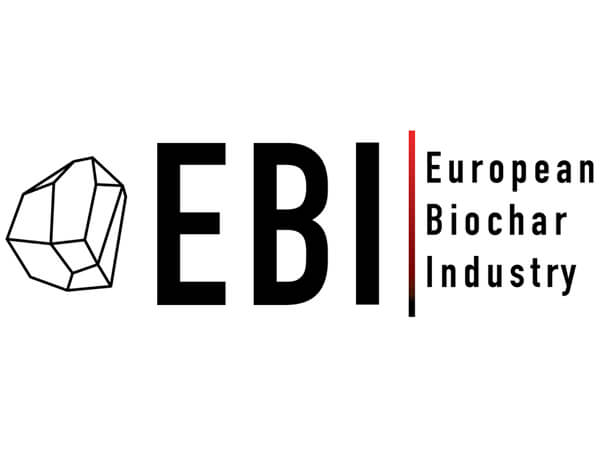 Perpetual Next - logo EBI